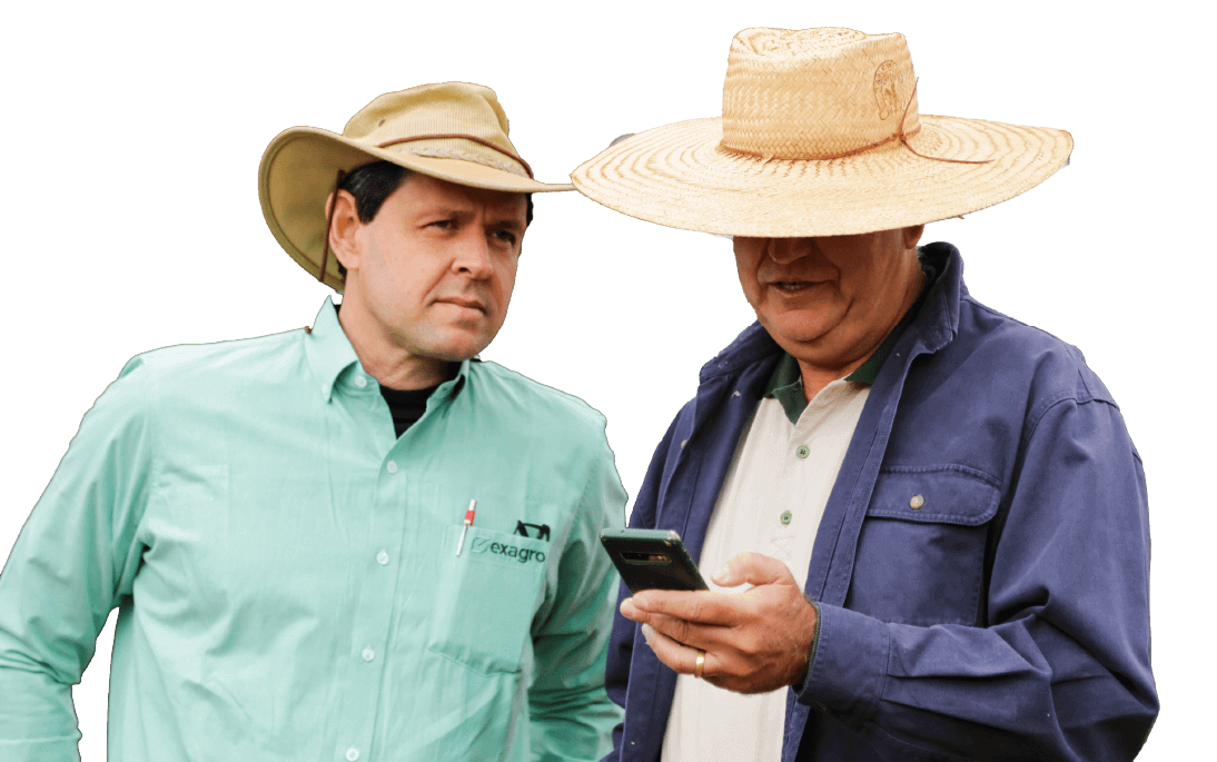 Consultoria em Gestão e Confinamento – Exagro | Estratégia Agrícola em Nova Lima, MG